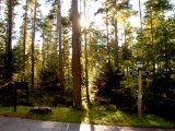 Tn IMG 1256